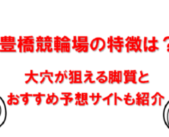 豊橋競輪場の特徴は？大穴が狙える脚質とおすすめ予想サイトも紹介